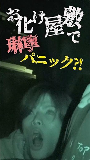 B&ZAI official【お化け屋敷】途中鳥さんいました？