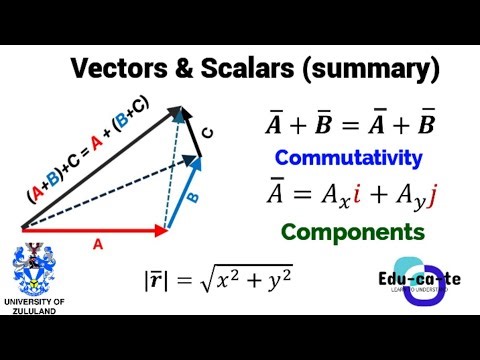 Summary of Vectors and Scalars