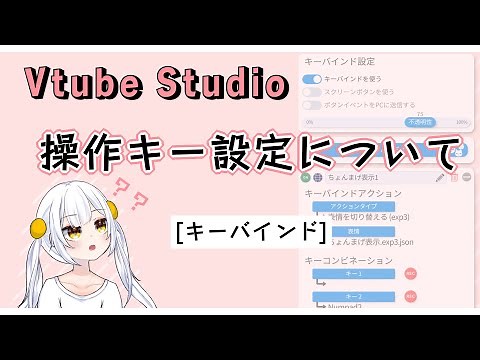 【VTS】キーバインドのキー設定について【字幕あり】