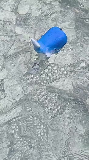 #CrystalPlusPiscinas #piscina #tratamento #MissãoCrystalPlus