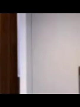 tango live | arab تانجو لایف