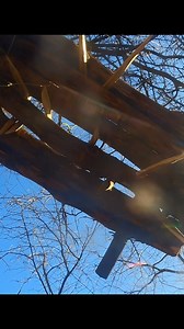 10K views · 281 reactions | Deadfall or Booby Trap?! LINK! https://youtu.be/RUBmIM9dR8I?si=h87ZFv05hd29Xf_b#dead #fall #trap #spike #heavy #drop #trip #wire #paracord #boobytraps #rangersurvivalfieldcraft | Ranger Survival & Field Craft | Facebook