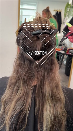 Reverse Foilayage Placement Breakdown Lowlights & Gloss Formulas