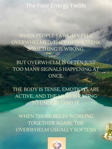 When people say they feel overwhelmed #self-knowledge #thefourenergyfields #meditation #emotion