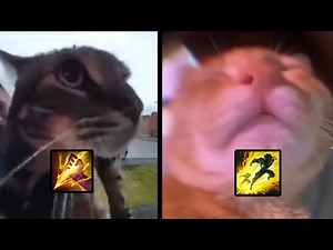 maow cat (cat at door) with awoo flash deluxe