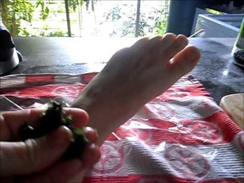 How to Make a Comfrey Compress | Sprained Ankle