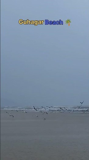 Guhagar Beach🌴 #Guhagar #nature #kokan #beach