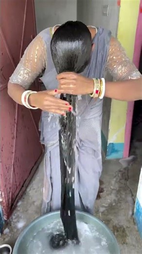 Long hair washed by full dripping in tub #longhairgirl#hairwashvideo #longhairchihuahua#longhairwash