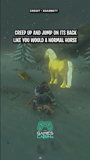 Here's How To Get A Golden Horse In Tears Of The KIngdom