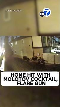 Home hit with molotov cocktail, flare gun