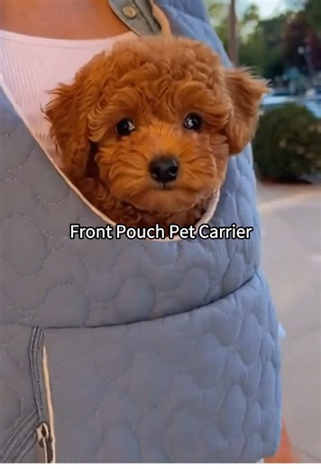 Adjustable front-facing pet travel backpack with removable bottom safety device, suitable for cats, dogs, and rabbits. Ideal for travel, camping, and hiking.#pet #dog #dogsoftiktok #travel #tiktokmademebuyit