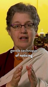 The Buddhist tradition offers a serene practice known as samatha or shiné. This tranquil technique invites one to observe the gentle rhythm of their breathing. Yet, the mind wanders, often straying into memories of the past or visions of the future. This is where the art of gentle touching comes into play. It's not about battling these thoughts, but acknowledging them, letting them go, and returning to the breath. This simple act equips one with the skills to confront the mental chaos that frequ