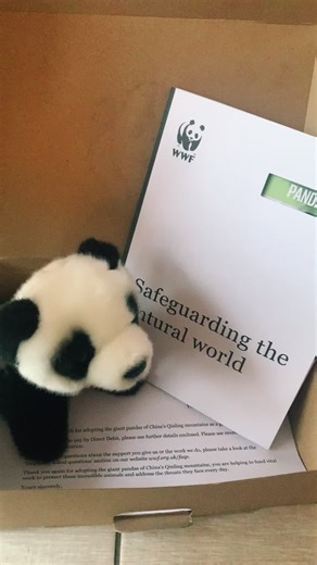 Adopting a Panda from the WWF: A Heartfelt Gift