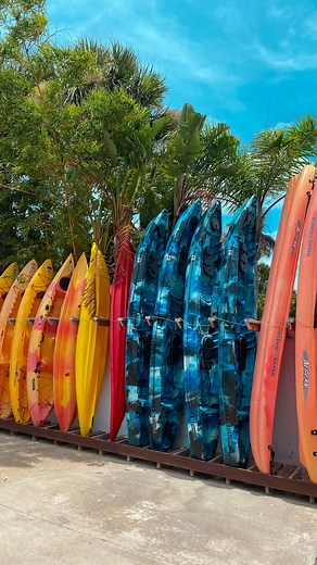 Libby Crist | Reasons I love living in Florida 🌴🐬 | Instagram