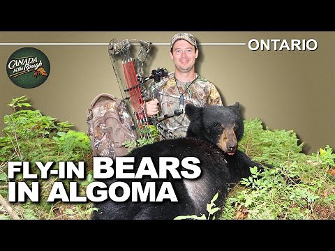 Fly-In Black Bear Hunting in Ontario | Canada in the Rough