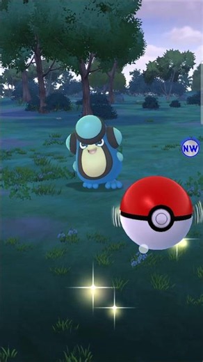 Caught Palpitoad || Pokémon GO