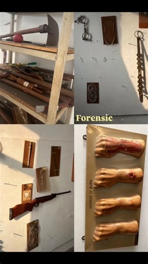 A visit to forensic lab🫙🏥 #experiment #mbbs #forensicscience #forensictoxicology #forensiclab