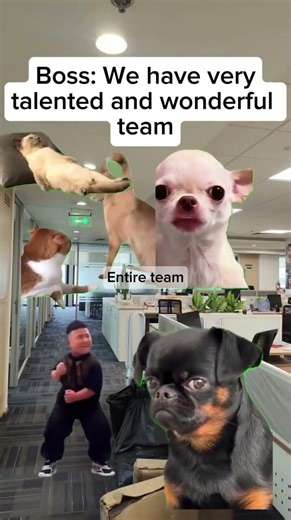 Talented Team 😂 as per BOSS #corporatehumor #officejokes #officememes