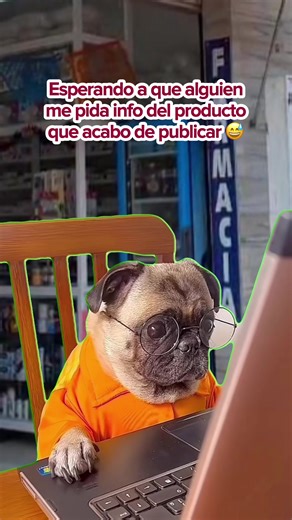 📍Torres Quintero 50 casi enfrente de rentas, en #losreyesmichoacán #farmaciasanbenito_lr #Meme #MemeCut