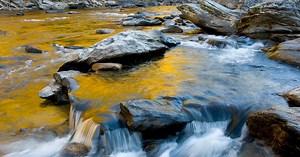 Securing Georgia’s Fresh Water