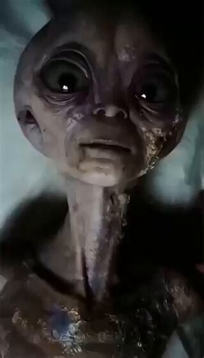 *Close-Up of the Grey Alien**With its large black eyes, wrinkled skin, and slender neck, a complete Grey alien… This entity, looking at the camera with its weary and expressive face, is being shared as one of the most striking images of extraterrestrial beings debated for years. Is it a recording of a real encounter, or an advanced simulation?Is this creature truly walking among us?**What do you think?**FOLLOW ME, THE NEXT DROP WILL BE SHOCKING