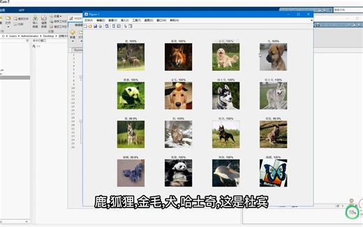 基于googlenet网络的动物种类识别算法matlab仿真