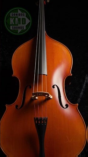 SONIDO DE CONTRABAJO – SONIDOS DE INSTRUMENTOS MUSICALES – efectos de sonido