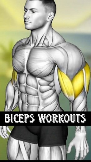Big Biceps Exercises Routine - Biceps Workouts #biceps #bicepsworkout | Trending Gym