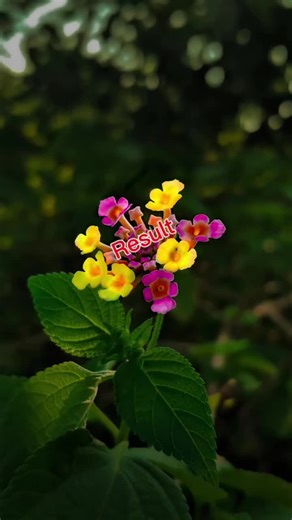 Zoom Camera HD Ultra: Ultra-Clear Footage for Every Moment