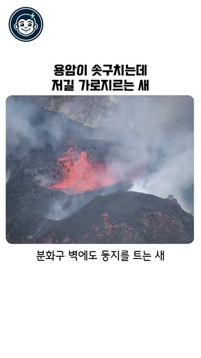 볼수록 경외감마저 느껴지는 자연과 생명의 신비로움 #자연 #생명 #다큐 #신기한영상 #감동