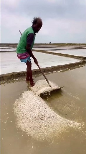 How Edible Salt Is Made from Seawater ?