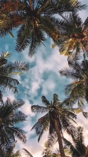 Lunes es de Vigilia: Música Cristiana para el Alma