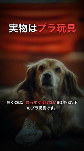 AI Robot Pets That Move Like Real Puppies Are Only $40. What You Actually Get Is a "Toy That Can'...