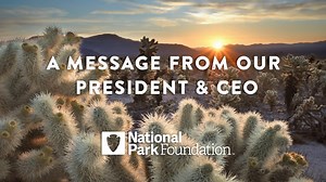 5.6K views · 544 reactions | As many people continue to stay close to home with their families, NPF invites you to explore new ways to connect with national parks and the park community. Learn more this National Park Week: https://prks.org/3cswnRu | National Park Foundation | Facebook