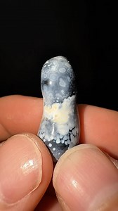 What’s inside this magical little coral? 🪸✨🌀 #crystals #rocks #geology #minerals #coral #geode #agate | CoralGeodes