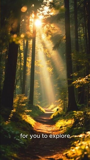 America’s National Parks — Nature at Its Greatest 🇺🇸🌲