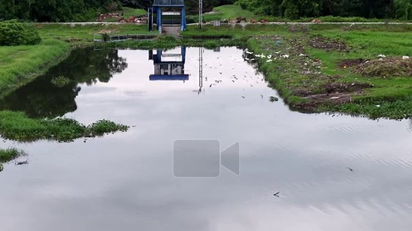 Aerial view showing white egrets flying over pond, grassy banks and a water control structure Stock Video Footage - Alamy