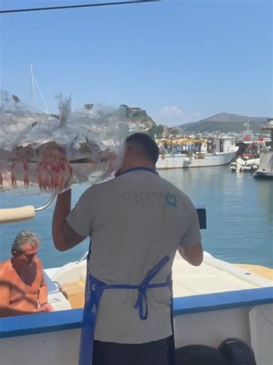 Latomare On Boat: ritiro pesce via mare e banchina di attracco