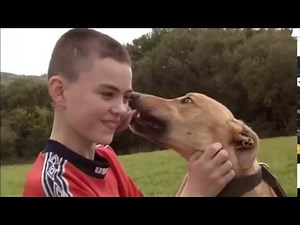 WALECZNY CELT cały film online lektor PL