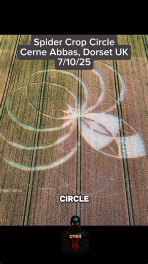 DownThe RabbitHole on Instagram: "Crop circles in July of 2025. You know what else popped up in July of 2025? 3iAtlas. So what do you think about this? Real or fake? From abovebelowsociety on TT #cropcircles #cropcircles2025 #3iatlas #projectbluebeam #unexplained #downtherabbithole"