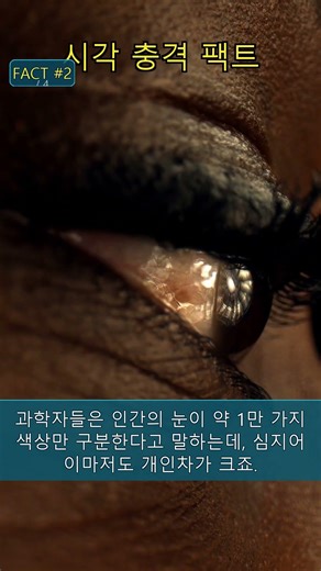 당신의 눈, 100만가지 색 중 99%를 구별 못한다? #Shorts