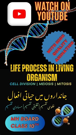 SYKSA LEARNING APP on Instagram: "Life Process in Living Organism | Cell Division Made Easy | Class 10 Science Cell Division explained in a simple and visual way 🔬✨ Perfect for Class 10 MH Board students studying Life Process in Living Organism. In this video, understand: ✅ What is Cell Division ✅ Mitosis & Meiosis explained ✅ Easy Urdu / Hindi explanation ✅ Concept clarity with animations 📌 Full chapter video available on YouTube 📲 For Full Videos, PDFs & MCQ Tests, download SYKSA Learning A