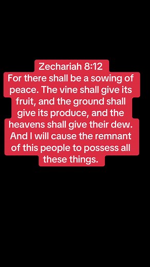 Hey people of God it’s been awhile since I’ve posted but wanted encourage you with this scripture. Every seed that was planted for you to prosper will bear fruit in Jesus name. #christiantiktok #jesuslovesyou #jesusisking