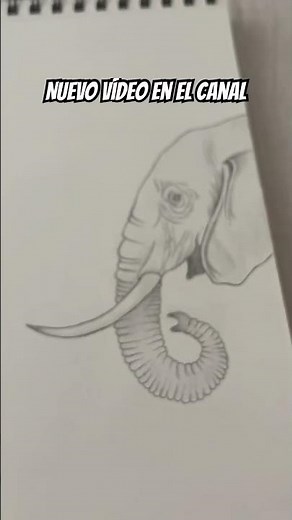 Cómo Dibujar un Elefante Realista Paso a Paso | Tutorial de Dibujo a Lápiz