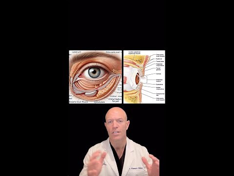 ✨ Eyelid Surgery (Blepharoplasty) Explained! Upper & Lower Lids: What You NEED to Know! 👀