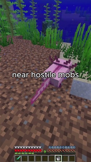 How to get a Underwater Defender in Minecraft?