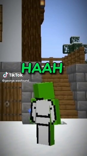 Huh!? #dnf #dreamnotfound #Dream #georgenotfound #dreamsmp #mcyt #dsmp #minecraft #plsdontflop #fyp #fypシ #foryou #foryoupage #CapCut