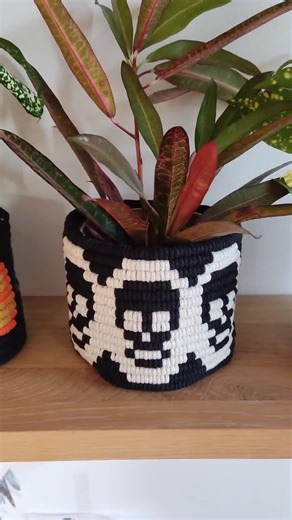Skull Macrame Plant Pot Cover: Gothic Home Decor - Etsy