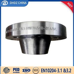 [Hot Item] Welding Neck Flange Wnrf Wnff Flange Wn Flanges