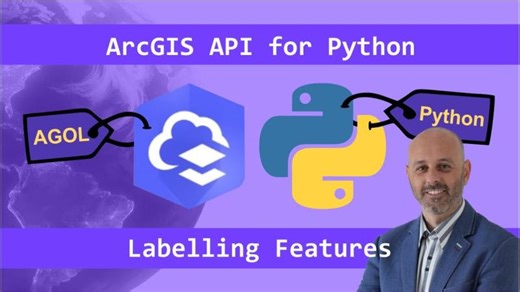 Label Features in ArcGIS Online Web Maps Using the ArcGIS API for Python | Step-by-Step Tutorial